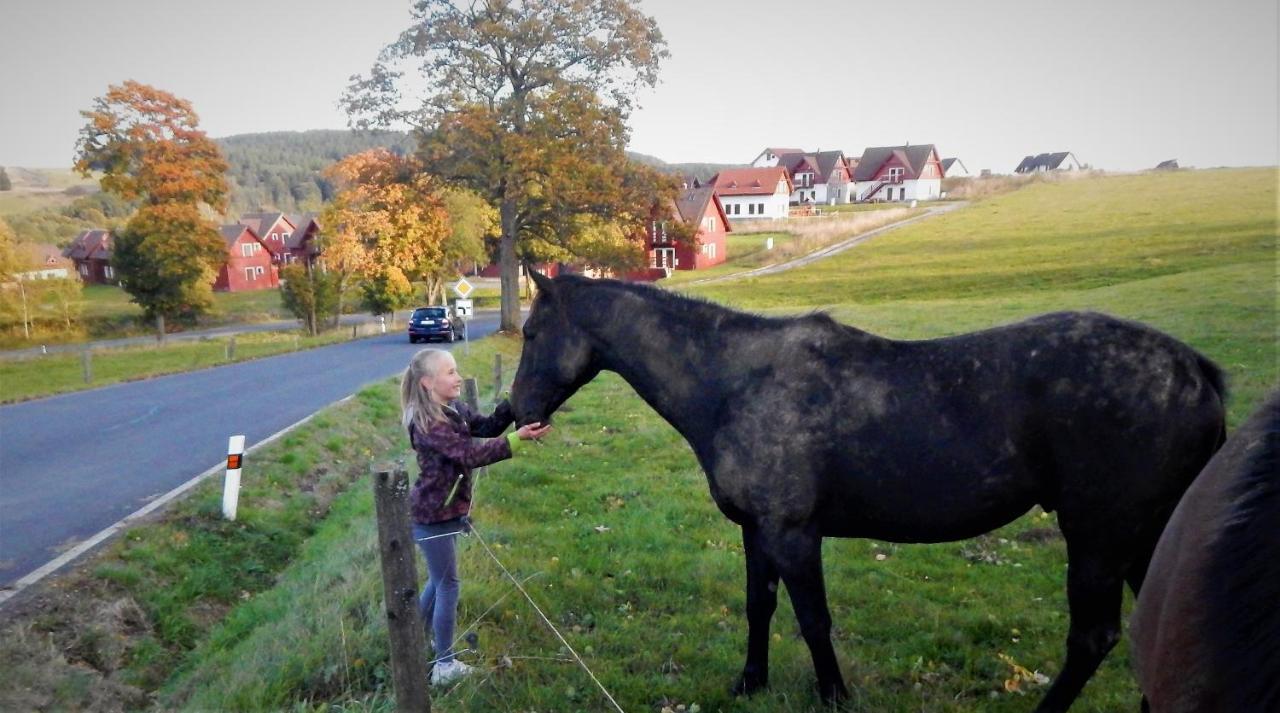 Chata Roubenka - Jesenka Dolní Moravice Esterno foto