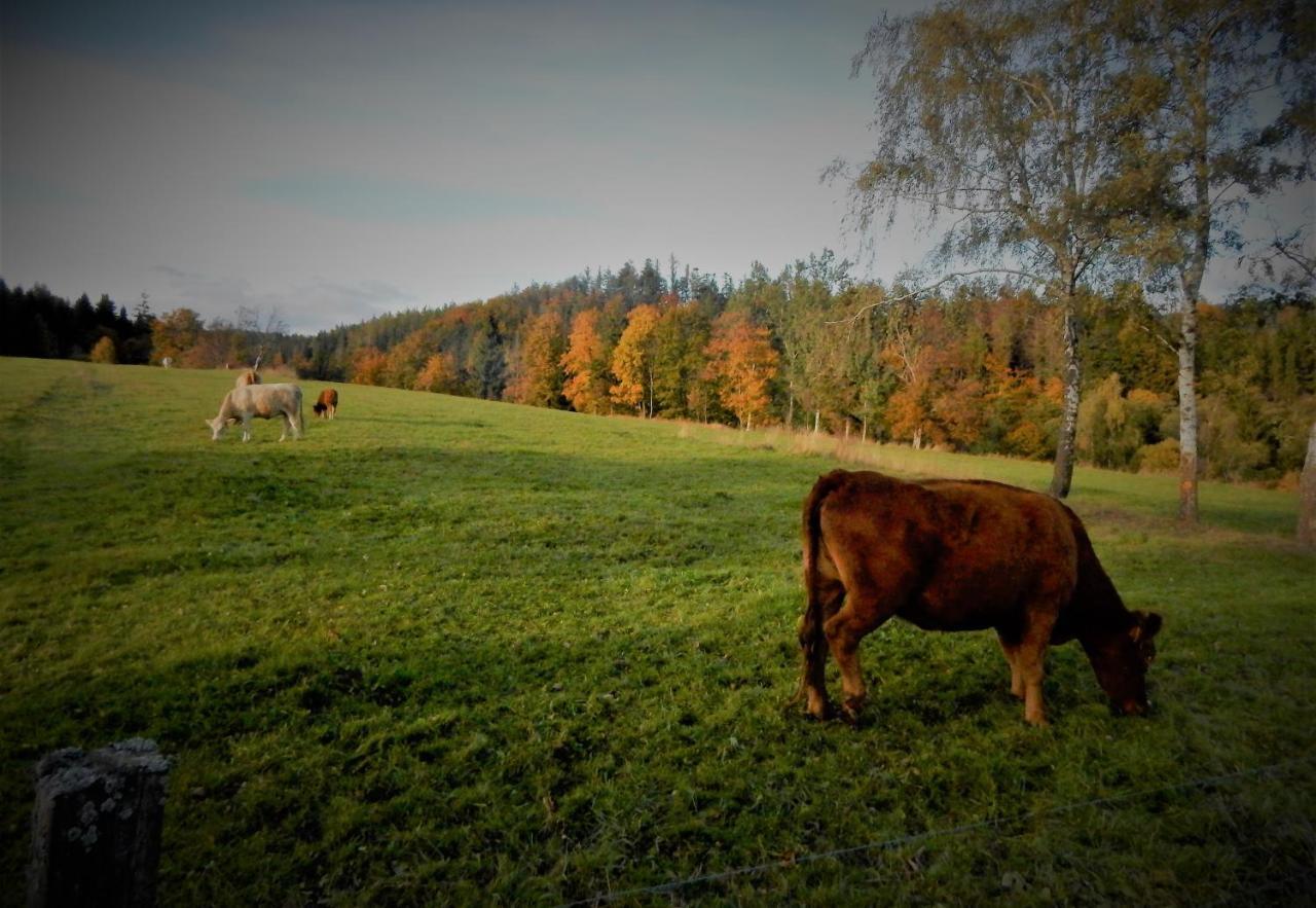 Chata Roubenka - Jesenka Dolní Moravice Esterno foto